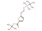 <span class='lighter'>tert-butyl</span> 5-(2-((<span class='lighter'>tert</span>-butyldimethylsilyl)oxy)ethyl)thiophene-2-<span class='lighter'>carboxylate</span>
