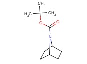 7-AZA-BICYCLO[2.2.1]HEPTANE-7-CARBOXYLIC ACID TERT-BUTYL <span class='lighter'>ESTER</span>