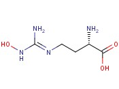 (S,E)-2-AMINO-4-(2-HYDROXYGUANIDINO)BUTANOIC ACID