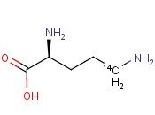 ORNITHINE, <span class='lighter'>L-</span>[5-14C]