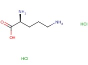 <span class='lighter'>L-</span><span class='lighter'>鸟氨酸</span>二<span class='lighter'>盐酸盐</span>