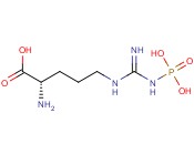 磷酸-<span class='lighter'>L-</span>精<span class='lighter'>氨酸</span>钠盐