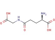 γ-<span class='lighter'>D-</span>谷氨酰基甘<span class='lighter'>氨酸</span>