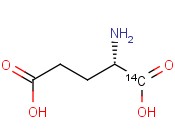 GLUTAMIC ACID, <span class='lighter'>L-</span>[1-14C]