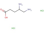 二<span class='lighter'>盐酸</span>DL-γ-<span class='lighter'>鸟氨酸</span>