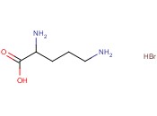DL-<span class='lighter'>鸟氨酸</span>氢溴<span class='lighter'>酸盐</span>