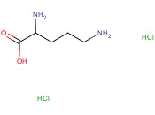 <span class='lighter'>L-</span><span class='lighter'>鸟氨酸</span>二<span class='lighter'>盐酸盐</span>