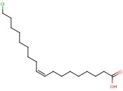 4-(4-<span class='lighter'>乙</span><span class='lighter'>氧基</span><span class='lighter'>苯</span><span class='lighter'>氧基</span>)苯胺