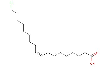 4-(4-<span class='lighter'>乙</span><span class='lighter'>氧基</span><span class='lighter'>苯</span><span class='lighter'>氧基</span>)苯胺