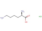 D-<span class='lighter'>LYSINE</span> <span class='lighter'>HYDROCHLORIDE</span> SALT