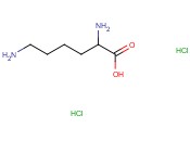 赖<span class='lighter'>氨酸</span>二<span class='lighter'>盐酸盐</span>