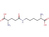 <span class='lighter'>H-GAMMA-GLU-EPSILON-LYS-OH</span>