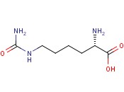 L-Homocitrulline