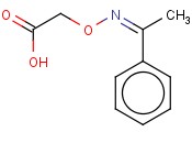 (Z)-2-(1-PHENYLETHYLIDENEAMINOOXY)ACETIC ACID