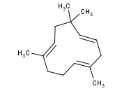 <span class='lighter'>CARYOPHYLLENE</span>