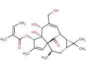 Ingenol 3-angelate