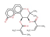 PRAERUPTORIN B