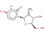 FRAGMENTA URI010