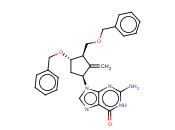 ENTECAVIR <span class='lighter'>INTERMEDIATE</span> NO 8