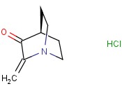 2-亚甲基-3-<span class='lighter'>奎宁</span><span class='lighter'>酮</span><span class='lighter'>盐酸盐</span>水合物