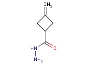 3-METHYLENECYCLOBUTANECARBOHYDRAZIDE