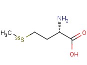 METHIONINE, <span class='lighter'>L-</span>[35S]