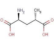 (2S,4R)- 4 -甲基<span class='lighter'>谷氨酸</span>