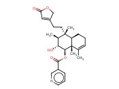 SCUTEBARBATINE Z