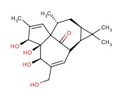 Ingenol