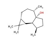 PALUSTROL