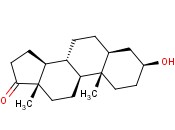 Androsterone