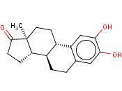2-羟基<span class='lighter'>雌</span><span class='lighter'>酚</span>酮