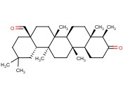 CANOPHYLLAL
