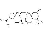 2A,17A(H),21BETA(H)-2-METHYLHOPANE