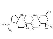 2A,17A(H),21A(H)-2-METHYLHOPANE