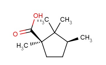 D-龙脑<span class='lighter'>酸</span>