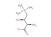 (R)-氨基<span class='lighter'>肉碱</span>