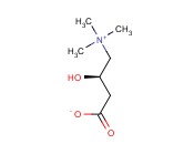 <span class='lighter'>L-</span>肉碱