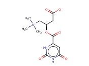 左旋<span class='lighter'>肉碱</span>乳清酸盐