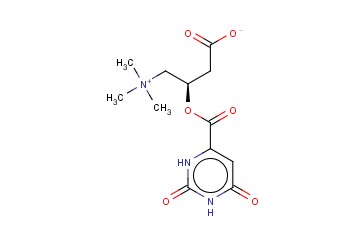 左旋肉碱<span class='lighter'>乳</span><span class='lighter'>清</span>酸盐
