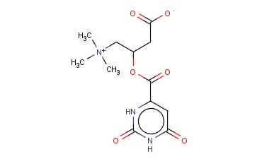 DL-(3-羧基-2-羟丙基)三甲铵基<span class='lighter'>乳</span><span class='lighter'>清</span>酸盐