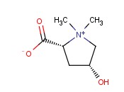 (2R,4R)-4-HYDROXY-1,1-DIMETHYLPYRROLIDIN-1-IUM-2-CARBOXYLATE
