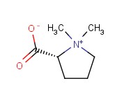 (R)-1,1-DIMETHYLPYRROLIDIN-1-IUM-2-CARBOXYLATE