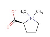 N,N-DIMETHYL-L-PROLINE