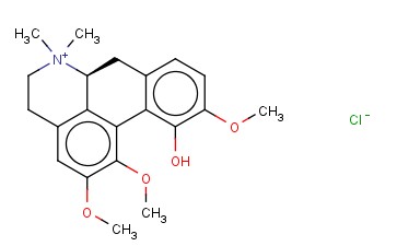 MENISPERINE CHLORIDE