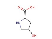 <span class='lighter'>TRANS</span>-4-HYDROXY-D-PROLINE