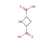 (+/-)-顺-吖丁啶-2,4-<span class='lighter'>二羧酸</span>