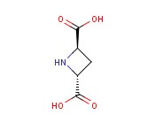 (2R,4R)-(+)-吖丁啶-2,4-<span class='lighter'>二羧酸</span>
