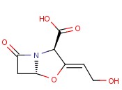 <span class='lighter'>CLAVULANIC</span> ACID