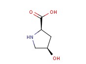 <span class='lighter'>Cis-4-hydroxy</span>-d-proline